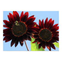 Velvet Queen Sunflowers posters by charlesblack7 Velvet Queen Sunflowers posters