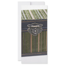 VelvetTrunk112109 rack cards