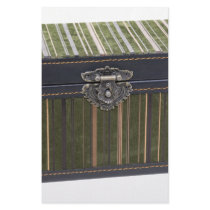 VelvetTrunk112109 stationery