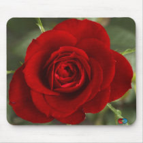 Velvety Red Rose mousepads by clarachandler Velvety Red Rose mousepads