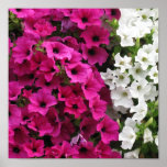 Venetsia Print Flower