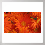 Venetsia Print