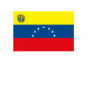 Venezuela Flag T-shirt