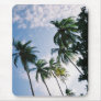 Venezuelan Palm Trees Mouse Pads