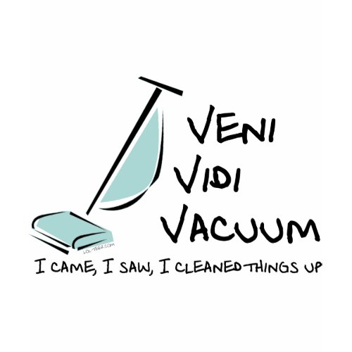 Veni Vidi Vacuum shirt