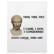 Veni, Vidi, Vici - I Came, I Saw, I Conquered Letterhead Design