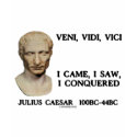 Veni, Vidi, Vici - I Came, I Saw, I Conquered shirt