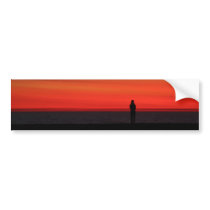 Venice Beach bumper stickers by pantavila Venice Beach bumper stickers