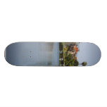 Venice Beach Canals Skate Boards