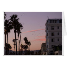 Venice Beach Cards