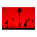 Venice California posters by Rivwild Venice California posters