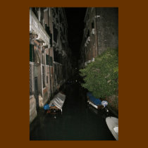 Venice Canal posters
