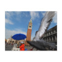 Venice scene postcards by alinphoto Venice scene postcards