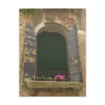 Venice Window Box Postcard