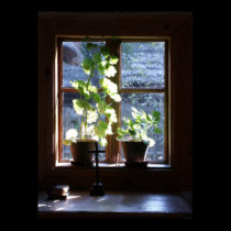 Ventana posters