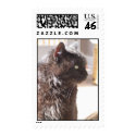 venture postage