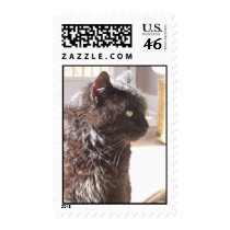 venture postage