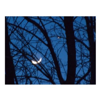 Venus and Sister Moon - Fine Art Photography Print