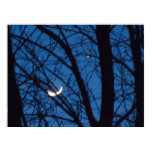 Venus and Sister Moon - Fine Art Photography Print