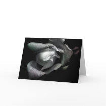 venus cards