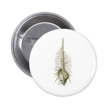 Venus Comb Pins