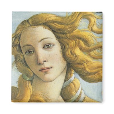 Venus (Detail) Magnet by MagnetMadness