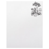 Venus Fly Trap Personalized Letterhead