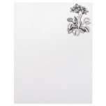 Venus Fly Trap Personalized Letterhead
