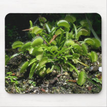 Venus Fly Trap mousepads by ARKADAS Venus Fly Trap mousepads