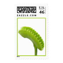 Venus Fly Trap Postage