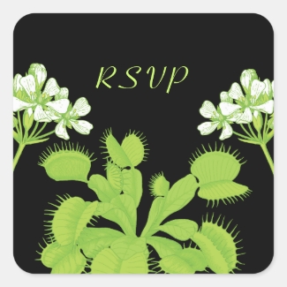 Venus Flytrap Flowers RSVP