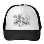 Venus Flytrap Hat