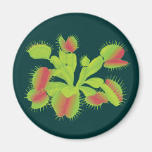 Venus Flytrap Magnet
