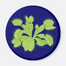 Venus Flytrap Magnet