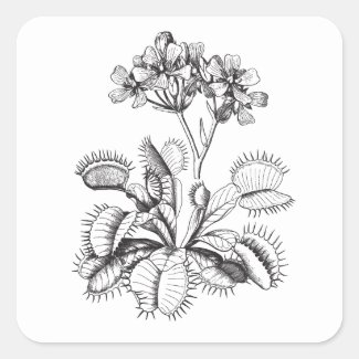 Venus Flytrap Vintage Art Sticker