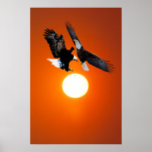 Venus in transit with eagles poster