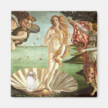 Venus - Japanese Chin (L1) Refrigerator Magnet