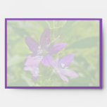 Venus Looking Glass Wildflower & Grasshopper Envelope
