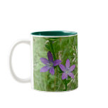 Venus Looking Glass Wildflower Coffee Mug
