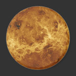 Venus Magnet magnets