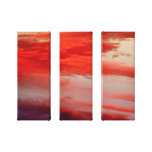 Venus Painted the Sky-Triptyc canvas prints