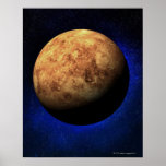 Venus Posters