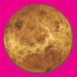 Venus Round Stickers
