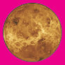 Venus Round Stickers