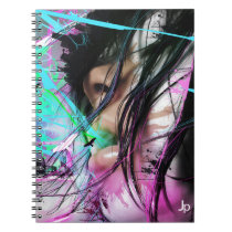Veracity Exchange Notebook notebooks