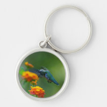¡Verano Hummer! Llaveros