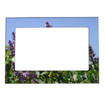 Verbina Magnetic Photo Frame magnetic frames