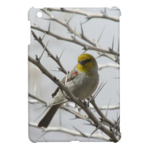 Verdin in a Prickly Perch iPad Mini Case