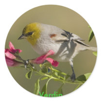 Verdin Stickers