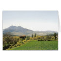 Verdon  cards